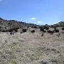 Kokernot o6 Ranch