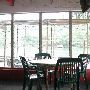 Ski Shores Cafe