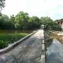 Onion Creek at CR 236