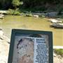Dinosaur Valley State Park