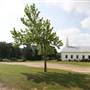 Liberty Community Church and Cemetery