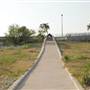 Mansfield Dam Park