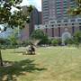 Discovery Green