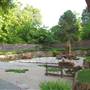 Fort Worth Botanic Garden - Japanese Garden