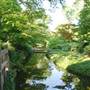 Fort Worth Botanic Garden - Japanese Garden