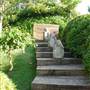 Fort Worth Botanic Garden - Japanese Garden
