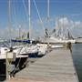 Port of Palacios