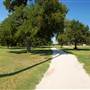Trinity Park