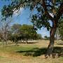 Murphy Park