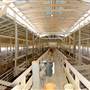 Former Williamson County Auction Barn
