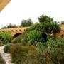 Fiesta Gardens