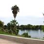 Fiesta Gardens