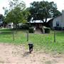 BK Ranch