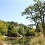 Bandera City Park