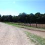 Flying L Guest Ranch
