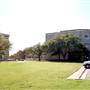 Texas A&M University