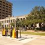 Texas A&M University