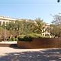 Texas A&M University