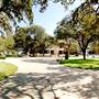 Texas A&M University
