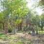 Old City Cemetery