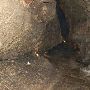 Cascade Caverns