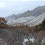Guadalupe Mountains National Park - Pine Springs Canyon (Winter / Snow)