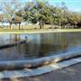 Hermann Park