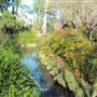 Japanese Garden in Hermann Park