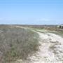 Matagorda Island