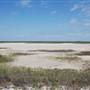 Matagorda Island