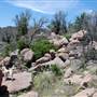 The Sandy Ranch