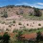 The Sandy Ranch