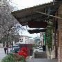 Cedar Street Courtyard