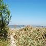 East Beach