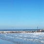 Galveston Seawall Blvd