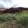 Hwy 118 South of Fort Davis