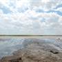 Muleshoe National Wildlife Refuge