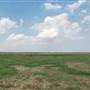 Muleshoe National Wildlife Refuge