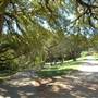 Big Stacy Park