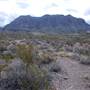 Big Bend National Park - Ward Springs Trail