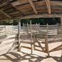 Pioneer Farms - Texian Cabin