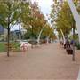 Klyde Warren Park
