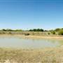 Wildcatter Ranch