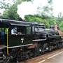 Texas State Railroad - 1901 Steam Train