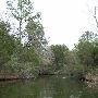 Lake Bastrop