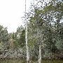 Lake Bastrop