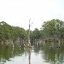 Lake Bastrop