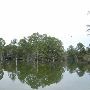 Lake Bastrop