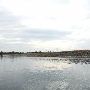 Lake Bastrop