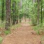 Huntsville State Park